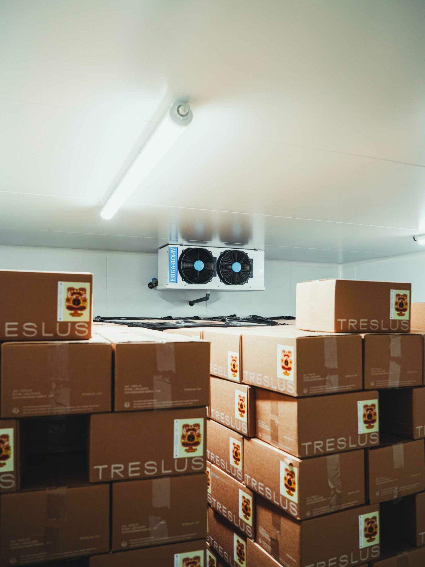 Chambre froide de domaine viticole